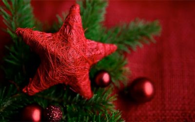 Wir wünschen frohe Weihnachten …