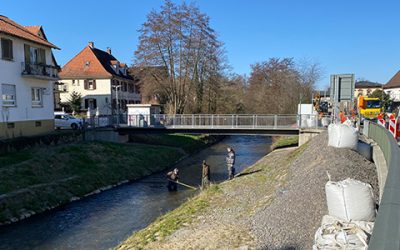 „Boxerbrücke” bis Mai gesperrt