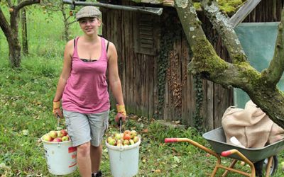 Verein „Blühende Bergstraße“ organisiert Apfelannahmestelle