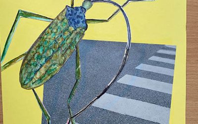 Klimawandel in Farbe und Form