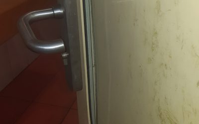 Wieder Vandalismus im Schlosspark