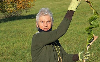 Graben nach Bodenschätzen