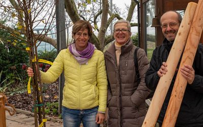 180 Obstbäume für die Blühende Bergstraße ausgegeben