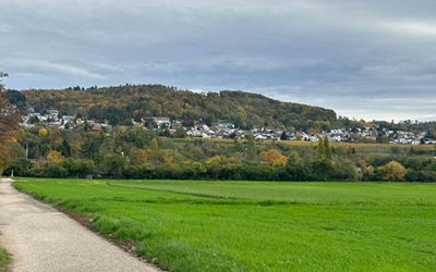 Wie geht es weiter mit der Hinteren Mult?