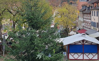 Der Marktplatz wird weihnachtlich