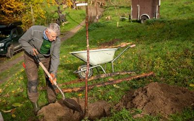 Neuer Blütenzauber für den Blütenweg