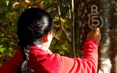 Sie haben Freude am Wandern und möchten sich ehrenamtlich für die Gemeinschaft engagieren?