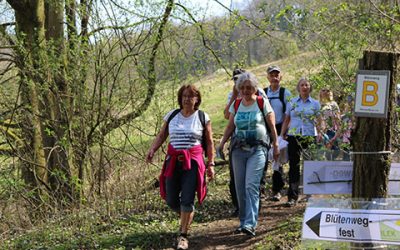 Der Blütenweg ruft wieder