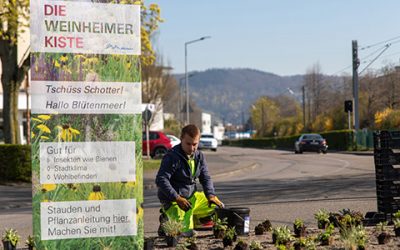 Natürlich mit der Weinheimer Kiste