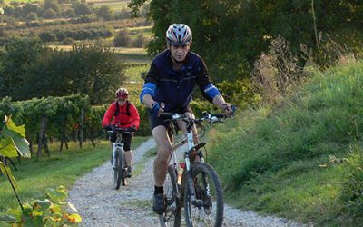 Mit dem E-Bike in den Wald