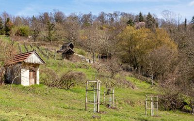 Neuer Blütenzauber für den Blütenweg