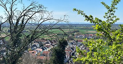 Durchblick fürs Blütenwegfest