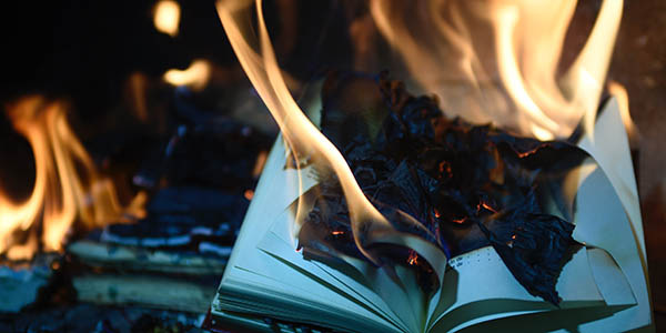 Als vor 90 Jahren die Bücher brannten