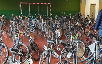 Fahrräder warten auf neue Besitzer