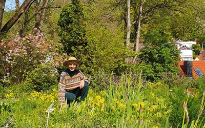 Im Frühling in die Kräuter