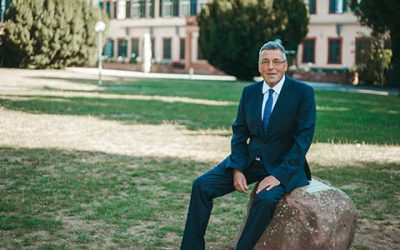 Weinheim wählt einen Bürgermeister