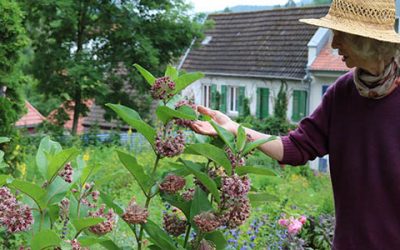 Vitalität aus der Erde