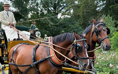 Historische Kutschen besuchten den Weinheimer Schlosspark