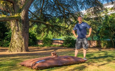 Durstigen Stadtbäumen helfen