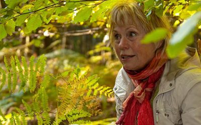 Im Sinnesrausch der Kräuter