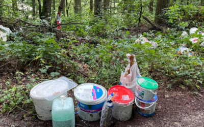 Bauschutt und Farbreste im Wald