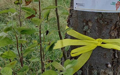 Das Obst wächst auf den Bäumen