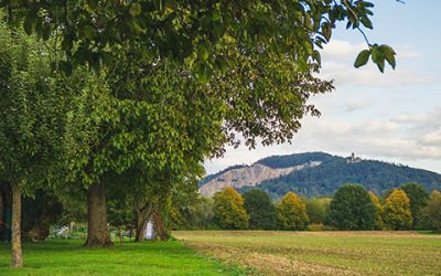 Entdeckungen im Herbst: Die Bergstrasse leuchtet