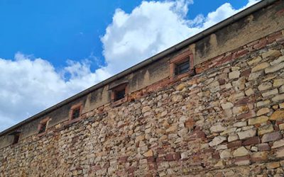 Weinberg, Backpulver, Tanzsaal