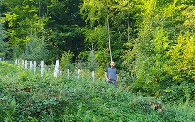 Erweiterung des Exotenwaldes Weinheim