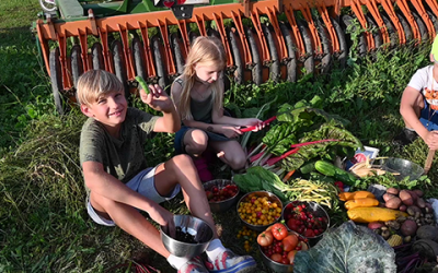 Anlage eines Urban Gardening Bereiches und einer Wildblumenwiese in der Breslauer Straße in Weinheim
