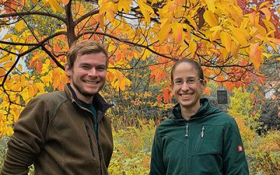 Doppelspitze für den Hermannshof