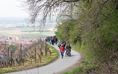 Der Blütenweg als Erlebnis