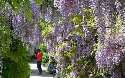 Weinheimer Garten mit Weltruhm