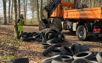 150 Reifen in den Wald geworfen