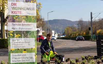Eine Kiste gegen den Schotter