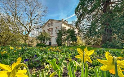 Alte Bäume mit Zukunft