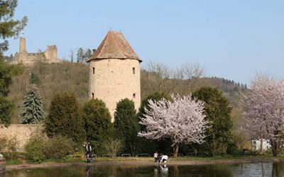 Wo der Hase im Pfeffer liegt …