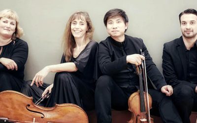 Noah Quartett diesmal mit Joker