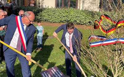 Zwei Ginkgos ohne Grenzen