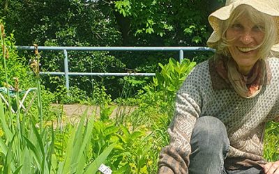 Was der Gundermann so alles kann