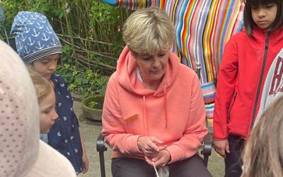 Landerlebnis bei Schafen