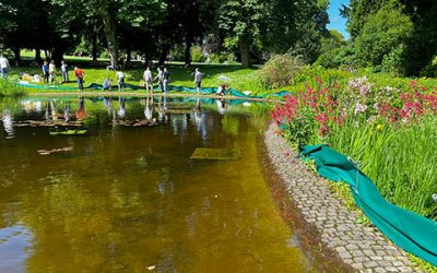 Wanderung der Hüpferlinge beginnt