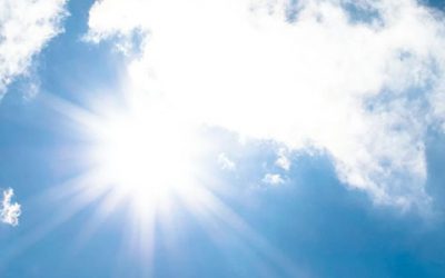 Weinheim im Schatten: Entdecken Sie die kühlen Oasen der Stadt!