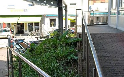 Weinheimer Stadtbibliothek wird besser barrierefrei