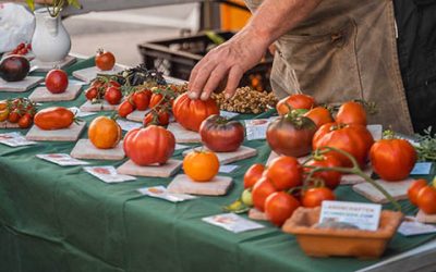 Weinheim verlängert den Sommer