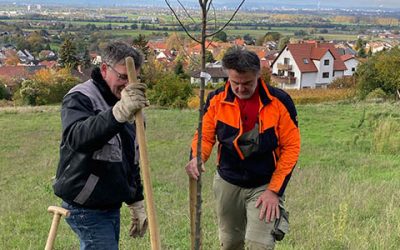 Aktion „Obstbäume für die Blühende Bergstraße“