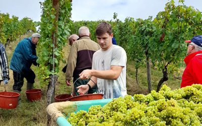 Ein guter „Müller“ für die Heimat