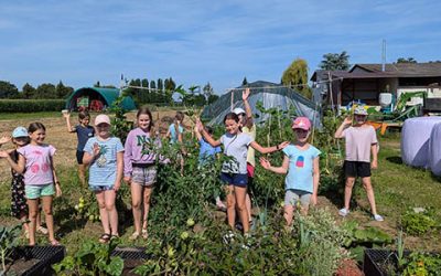 Naturbildungsraum, Workshops und Co.