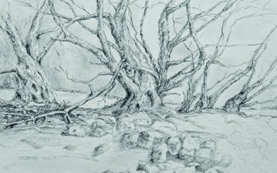 Neues Angebot des Stadtseniorenrats Weinheim in Planung