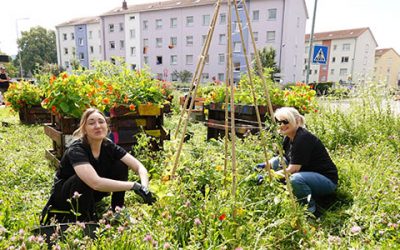 GUB e.V. erhält eine fantastische Unterstützung in Höhe von 100.000 EUR bei der Crowdfundingkampagne der Baden-Württemberg Stiftung für zwei Bildungsprojekte in Weinheim